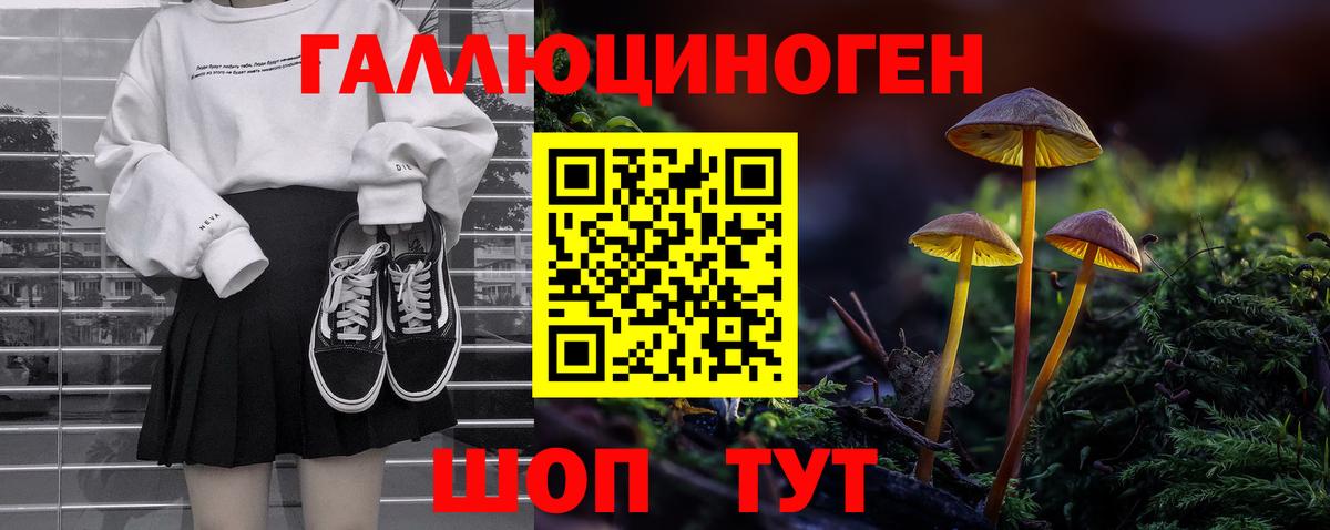 Галлюциногенные грибы Psilocybine cubensis Грязи